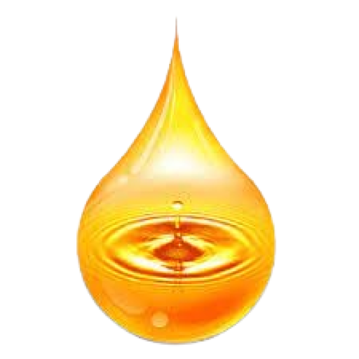 Soybean meal ukr oil